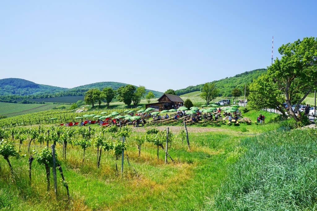 Mayer am Nussberg, Buchenschank, Ausflugsziel mit Kind, Wien, Vienna, Österreich, Austria