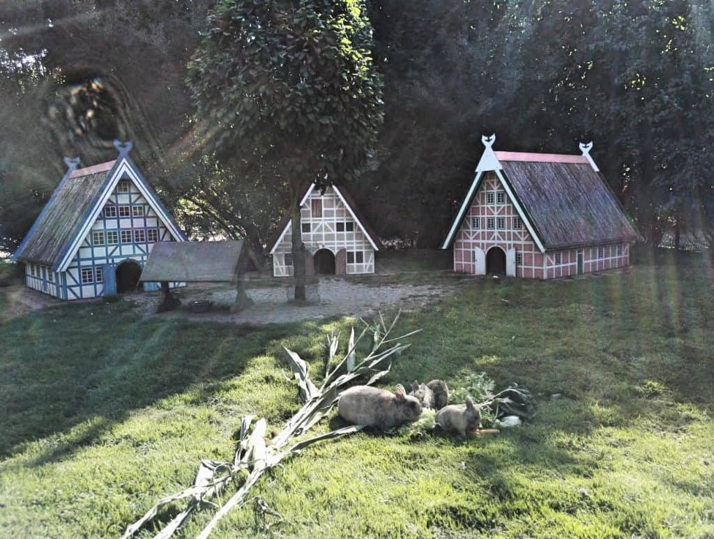 Hagenbecks Tierpark, Hamburg Zoo, familienfreundlich