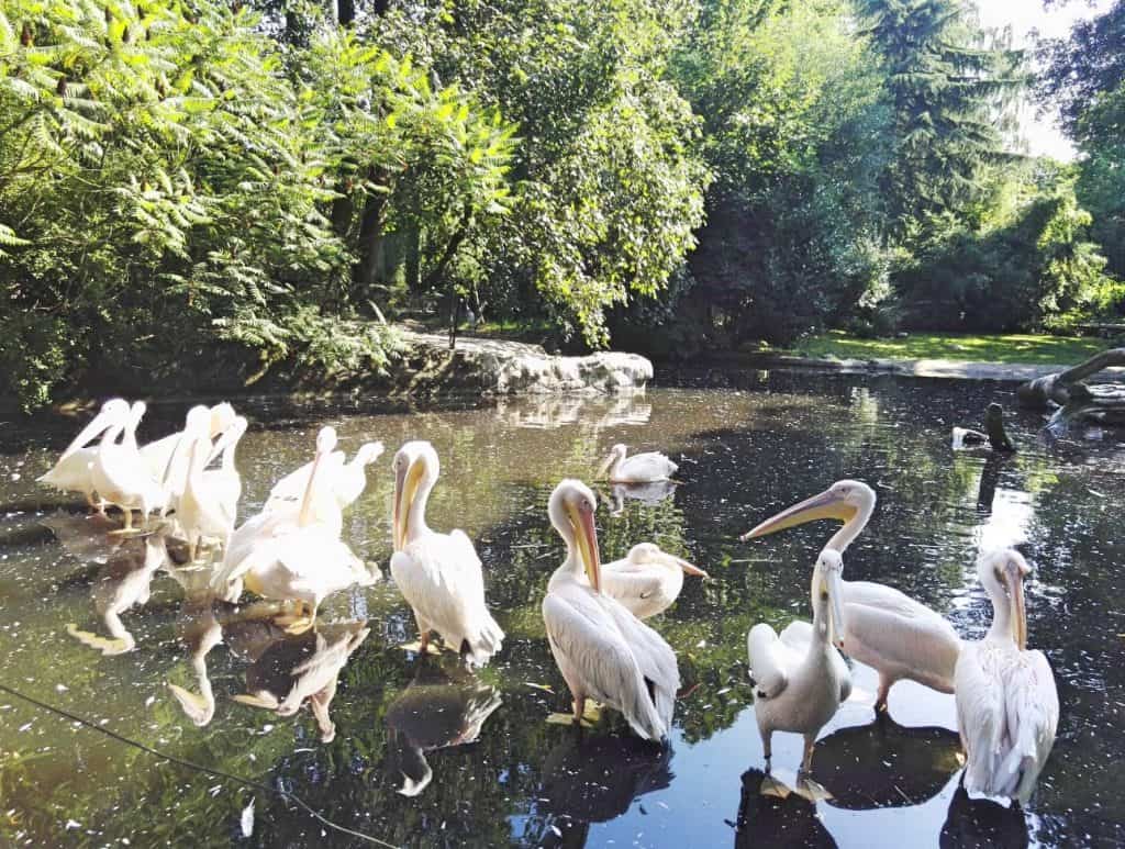 Hagenbecks Tierpark, Hamburg Zoo, familienfreundlich