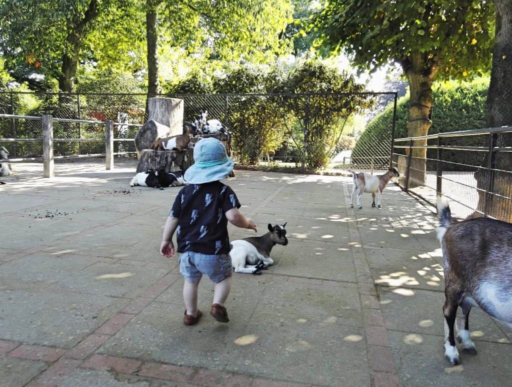 Hagenbecks Tierpark, Hamburg Zoo, familienfreundlich, recommended by the urban kids