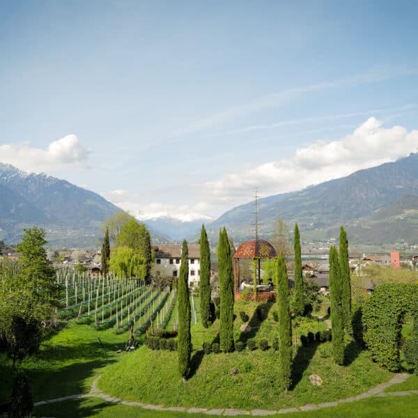 Wunderschönes Weingut in Südtirol