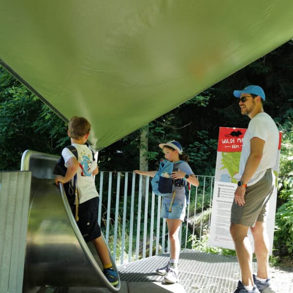 Wandern mit Kindern: Diese Bergregionen wecken das Bergfieber bei den Kleinen!