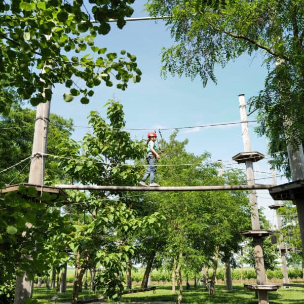 Hoch hinaus im Waldklettergarten: Spaß und Spannung im Burgenland!