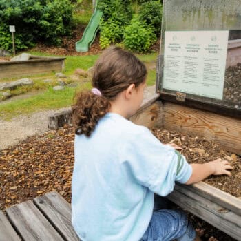 Eintauchen in die Natur - Osttirol mit Kindern