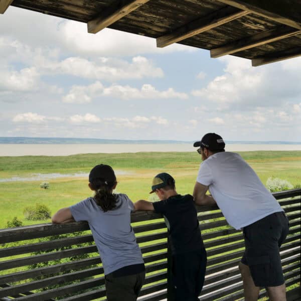 Aussichsturm zur Hölle am Neusiedler See mit Kindern