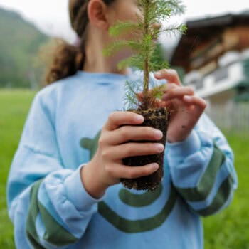 Familienhotel Tillga Glück in Osttirol - nachhaltiges Hotel - für jede Buchung wird ein Baum gepflanzt.