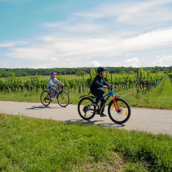 Erleben Sie die Natur rund um den Neusiedler See auf dem Radweg, wo Familien gemeinsam die vielfältige Flora und Fauna entdecken können.