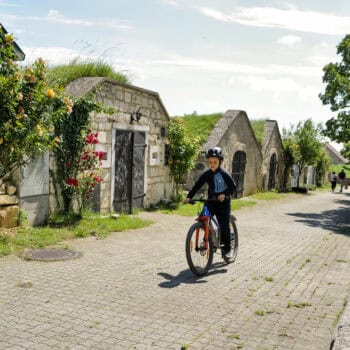 Radwege im Burgenland mit Kindern - Fahrradfahren mit Kindern im Burgenland - Kirschblütenradweg