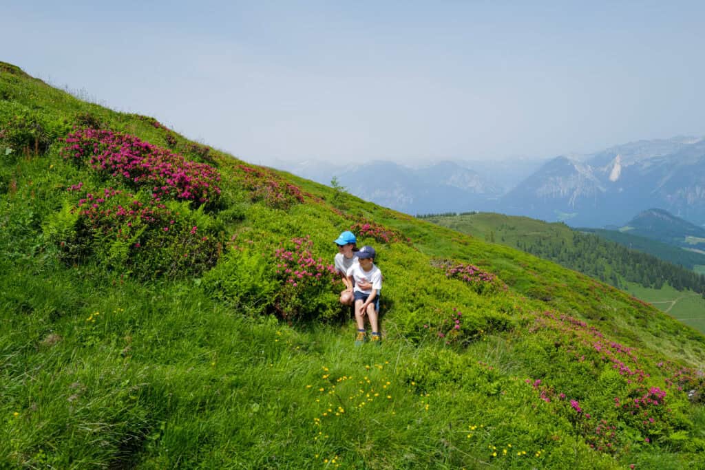 Glückliche Kinder beim Entdecken von Bergblumen und kleinen Wasserfällen im Alpbachtal.