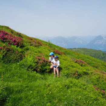 Glückliche Kinder beim Entdecken von Bergblumen und kleinen Wasserfällen im Alpbachtal.