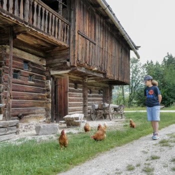 Freilichtmuseum Tiroler Bauernhöfe - Ausflug in Tirol mit Kindern - Erlebnisreiche Familienabenteuer im Alpbachtal mit Kindern: Entdecke die Schönheit der Natur mit deinen Kindern