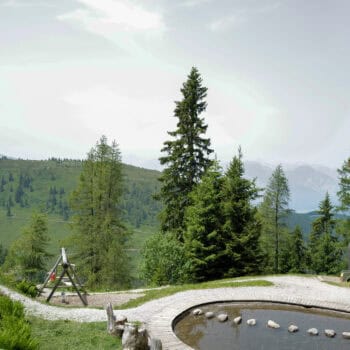 Familie beim Wandern im Alpbachtal, umgeben von grünen Almwiesen und majestätischen Berggipfeln.