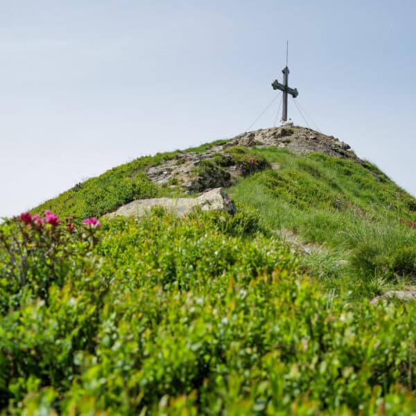 Gipfelkreuz mit Alpenrosen im Alpbachtal in Tirol