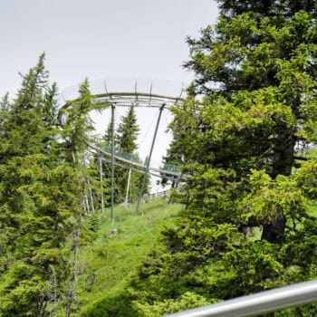 Zwischenstopp vom Wandern im Alpbachtal, umgeben von grünen Almwiesen und majestätischen Berggipfeln lädt das Lauserland zum Spielen und Entspannen ein.