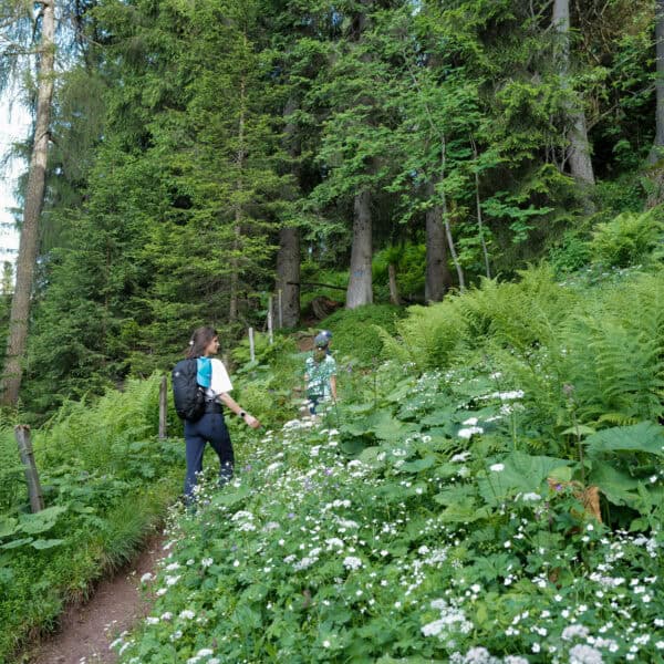 Glückliche Kinder beim Entdecken von Bergblumen und kleinen Wasserfällen im Alpbachtal.